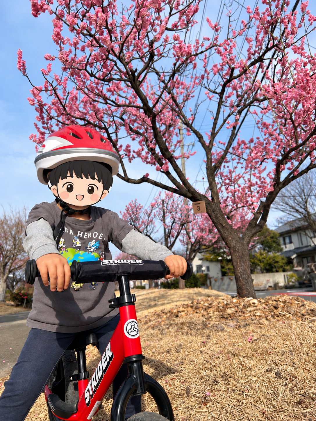 2歳頃にストライダーと新幹線こまちのヘルメットで遊ぶ長男